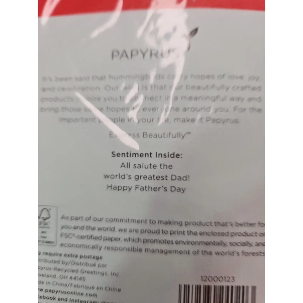 PAPYRUS HAPPY FATHERS DAY CARD DAD IN CHIEF CARD New